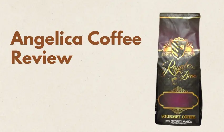 Angelica Coffee Review photo