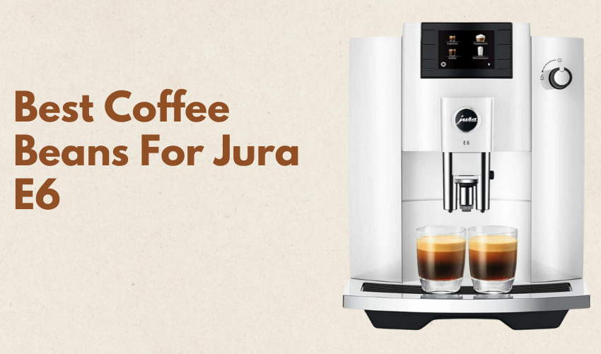 Best Coffee Beans For Jura E6 photo