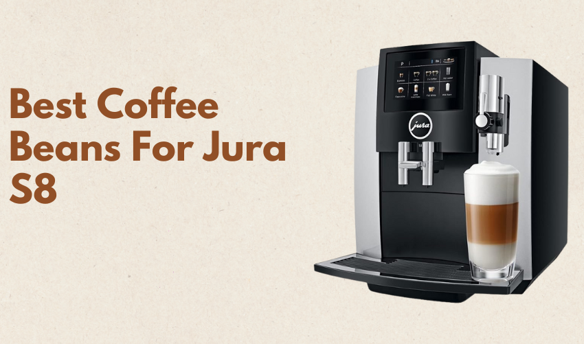 Best Coffee Beans For Jura S8 photo