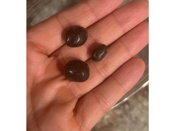 Eating Coffee Beans photo 2
