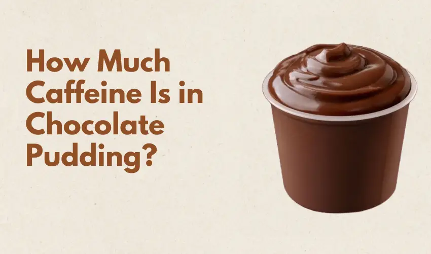 How Much Caffeine Is in Chocolate Pudding photo