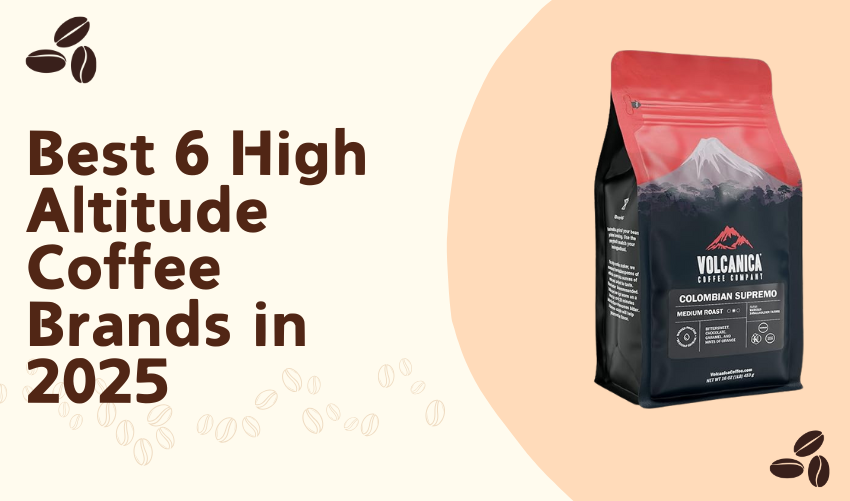 Best 6 High Altitude Coffee Brands in 2025 photo