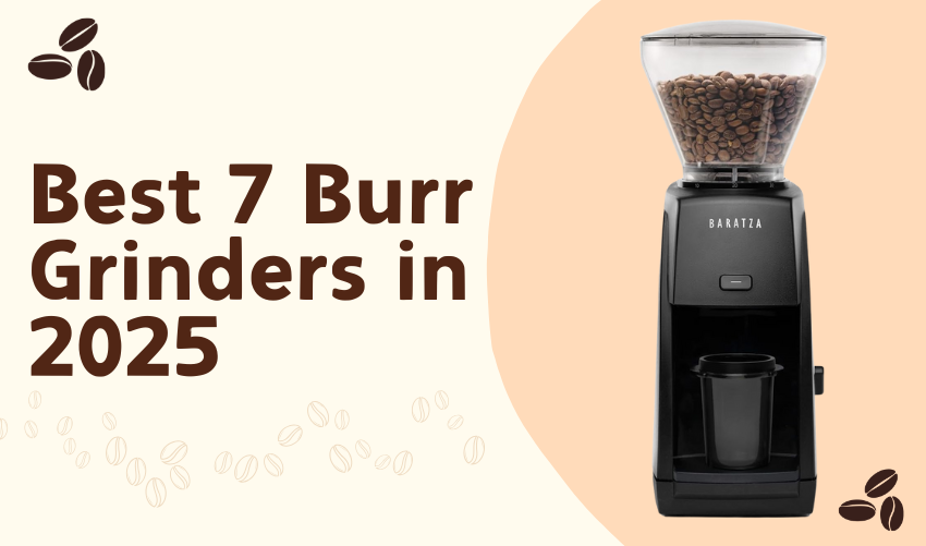 Best 7 Burr Grinders in 2025 photo