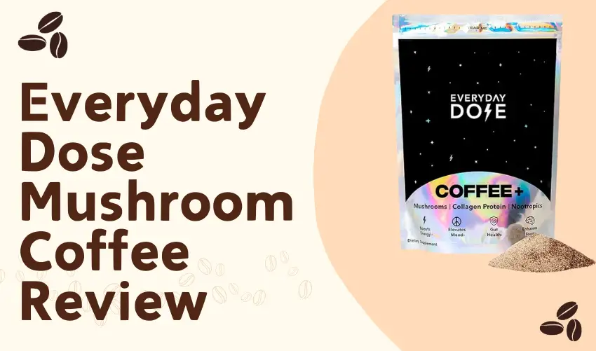 Everyday Dose Mushroom Coffee Review photo