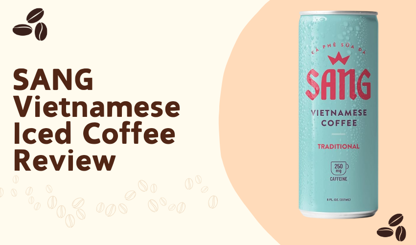 SANG Vietnamese Iced Coffee Review photo