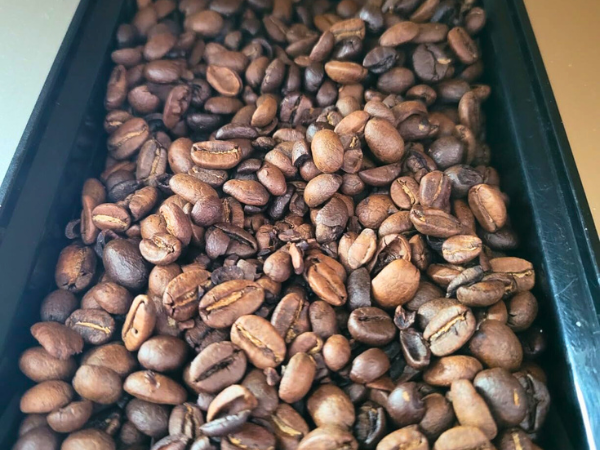 The Golden Rules For Miele Beans photo