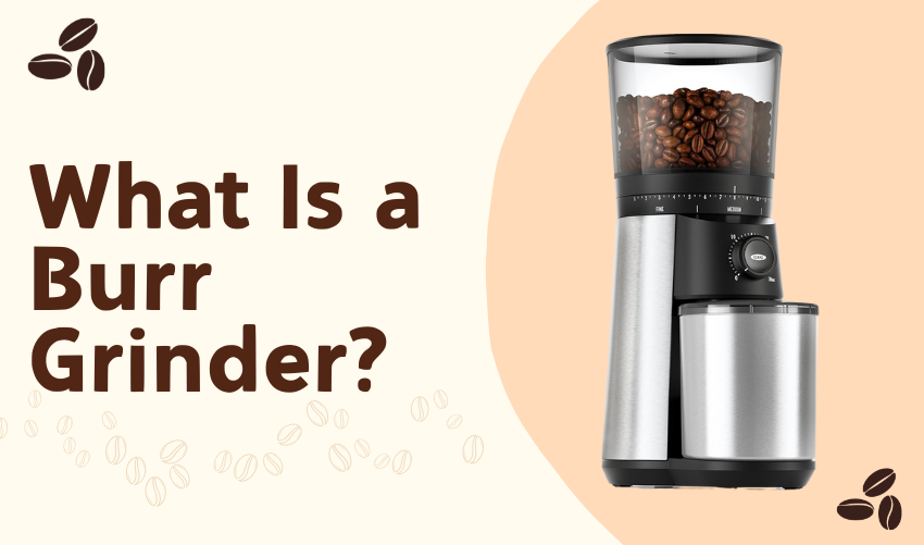 What Is a Burr Grinder photo