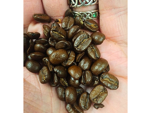 What To Look For In When Choosing Costa Rica Tarrazu Coffee
