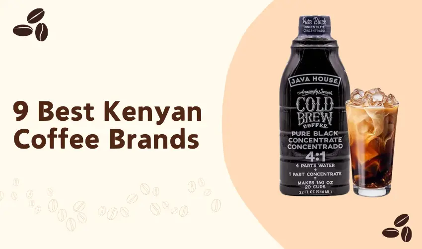 9 Best Kenyan Coffee Brands 1