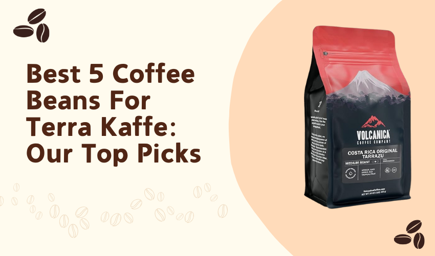 Best 5 Coffee Beans For Terra Kaffe: Our Top Picks