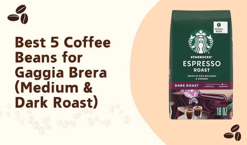 Best 5 Coffee Beans for Gaggia Brera (Medium & Dark Roast)