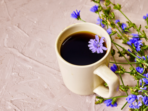 Chicory Coffee photo 3