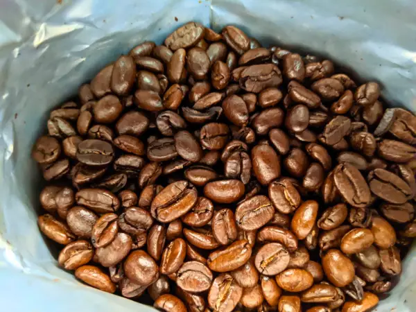 Mastering The Cortado Why Bean Choice Is Crucial 1