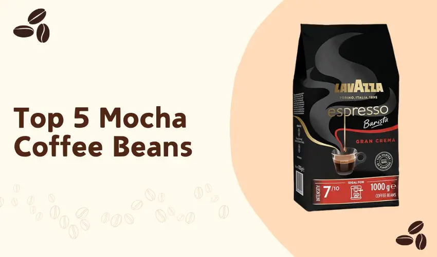 Top 5 Mocha Coffee Beans photo